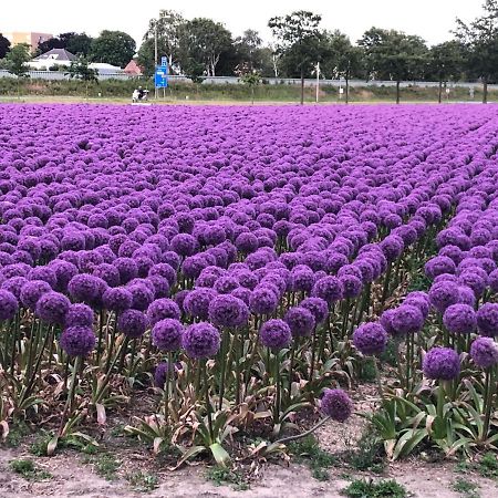 Bed & Breakfast De Vier Seizoenen Lisse Luaran gambar