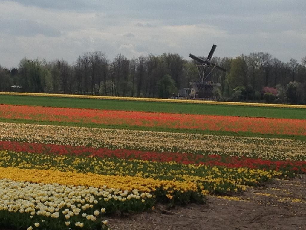 Bed & Breakfast De Vier Seizoenen Lisse Luaran gambar