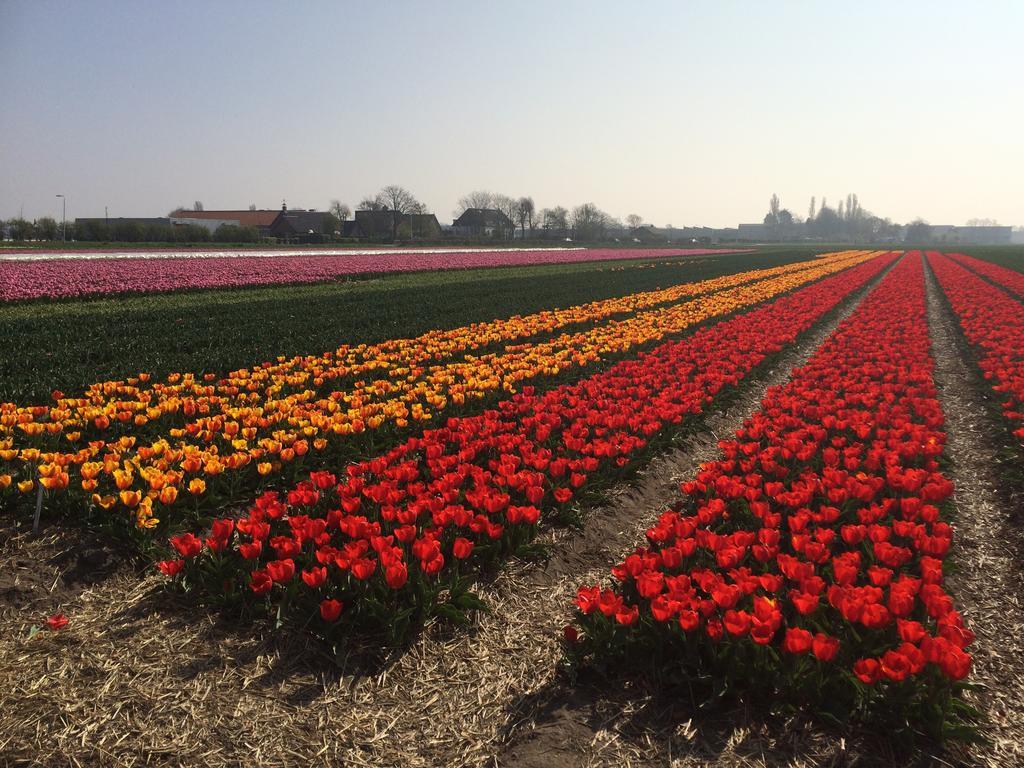 Bed & Breakfast De Vier Seizoenen Lisse Luaran gambar